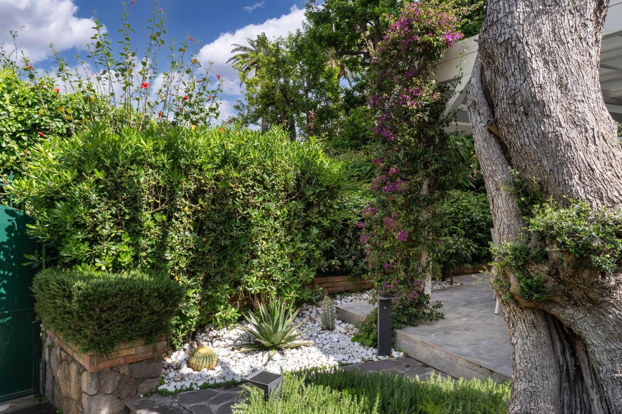 Il Canto Delle Sirene Sorrento Exterior foto